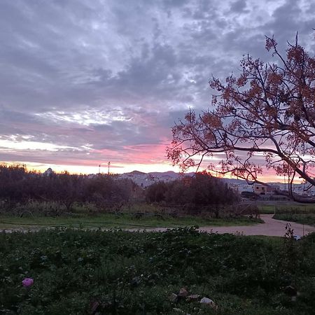 Вилла Ktima Dimitrios Naxos City Экстерьер фото