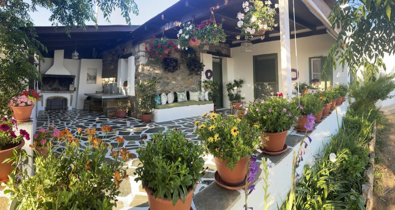 Вилла Ktima Dimitrios Naxos City Экстерьер фото