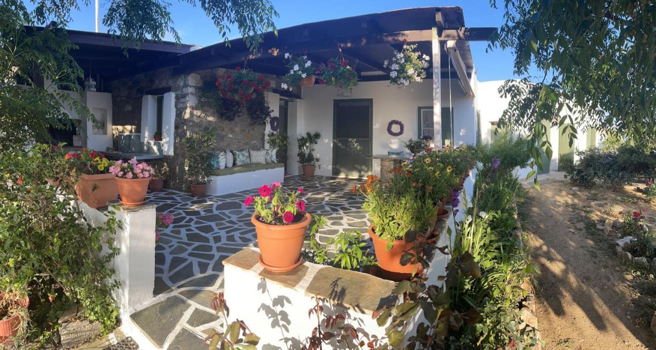 Вилла Ktima Dimitrios Naxos City Экстерьер фото