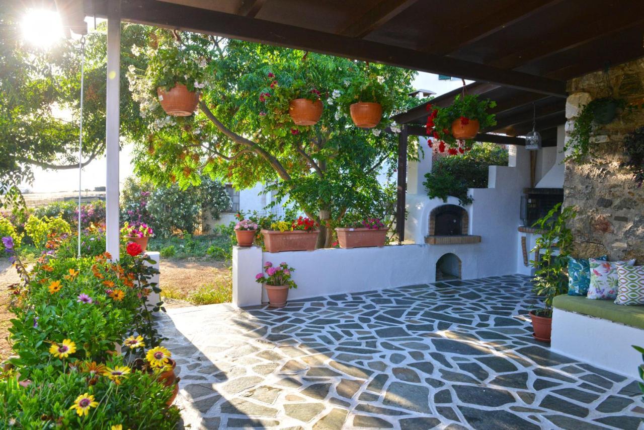 Вилла Ktima Dimitrios Naxos City Экстерьер фото