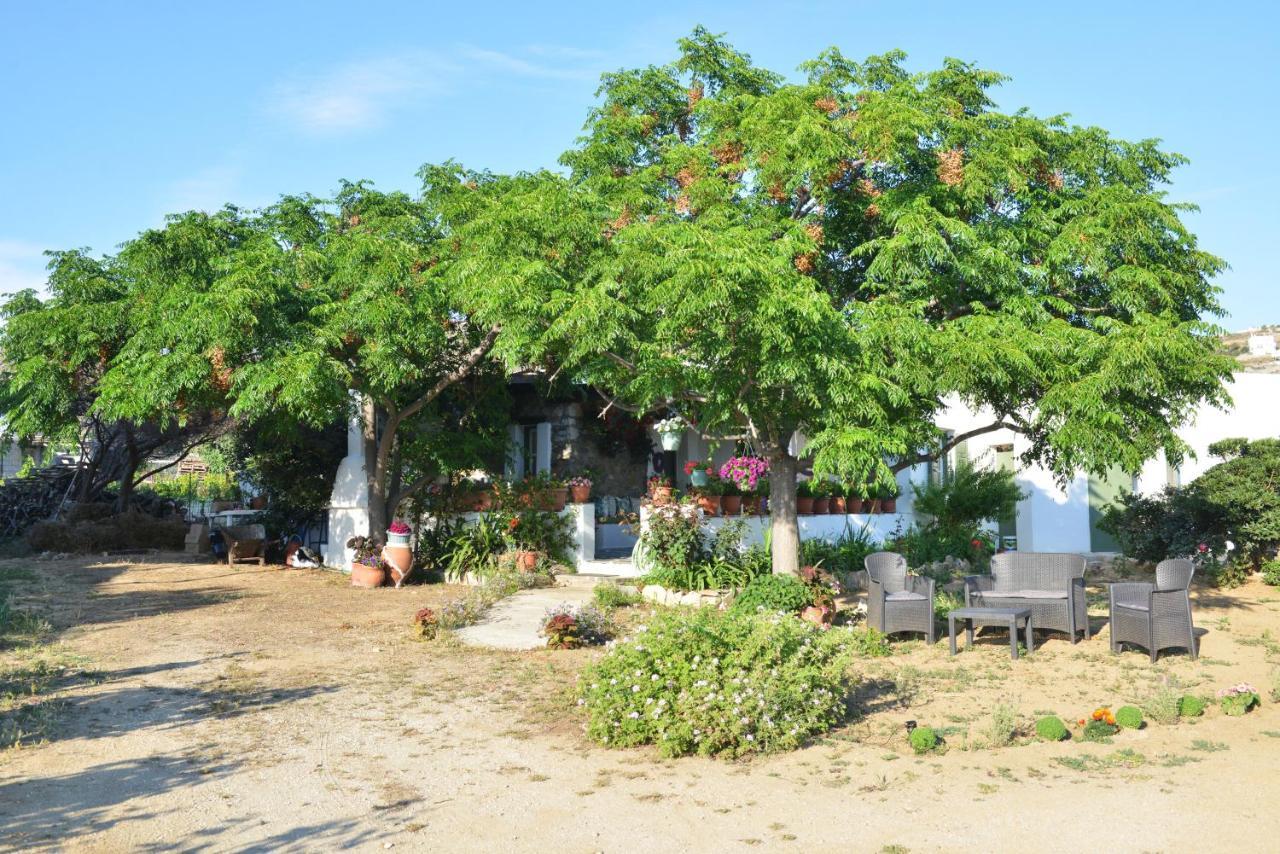 Вилла Ktima Dimitrios Naxos City Экстерьер фото