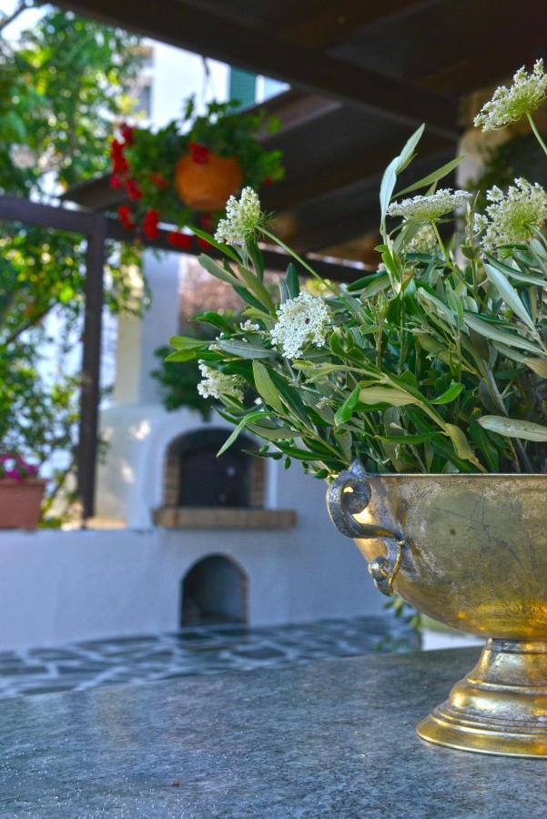 Вилла Ktima Dimitrios Naxos City Экстерьер фото