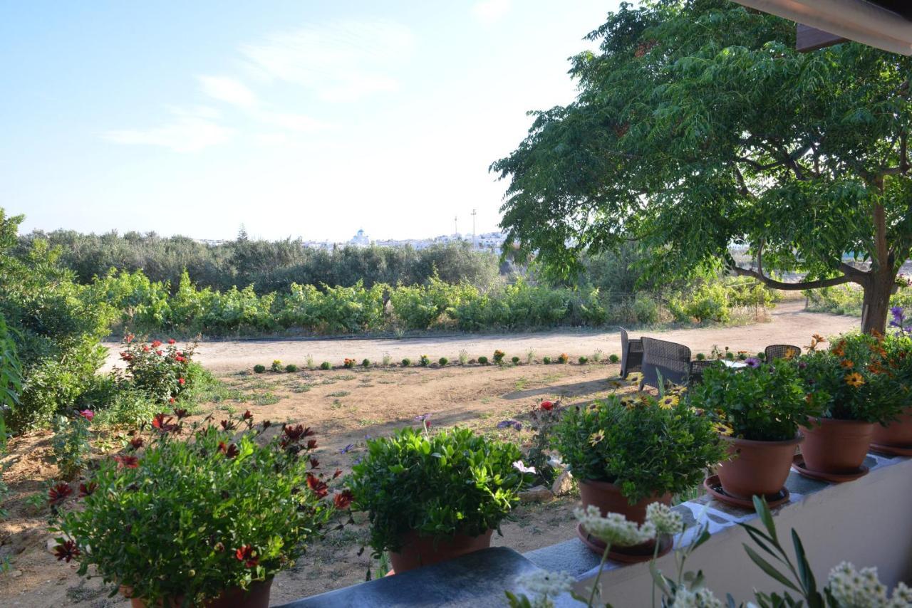 Вилла Ktima Dimitrios Naxos City Экстерьер фото