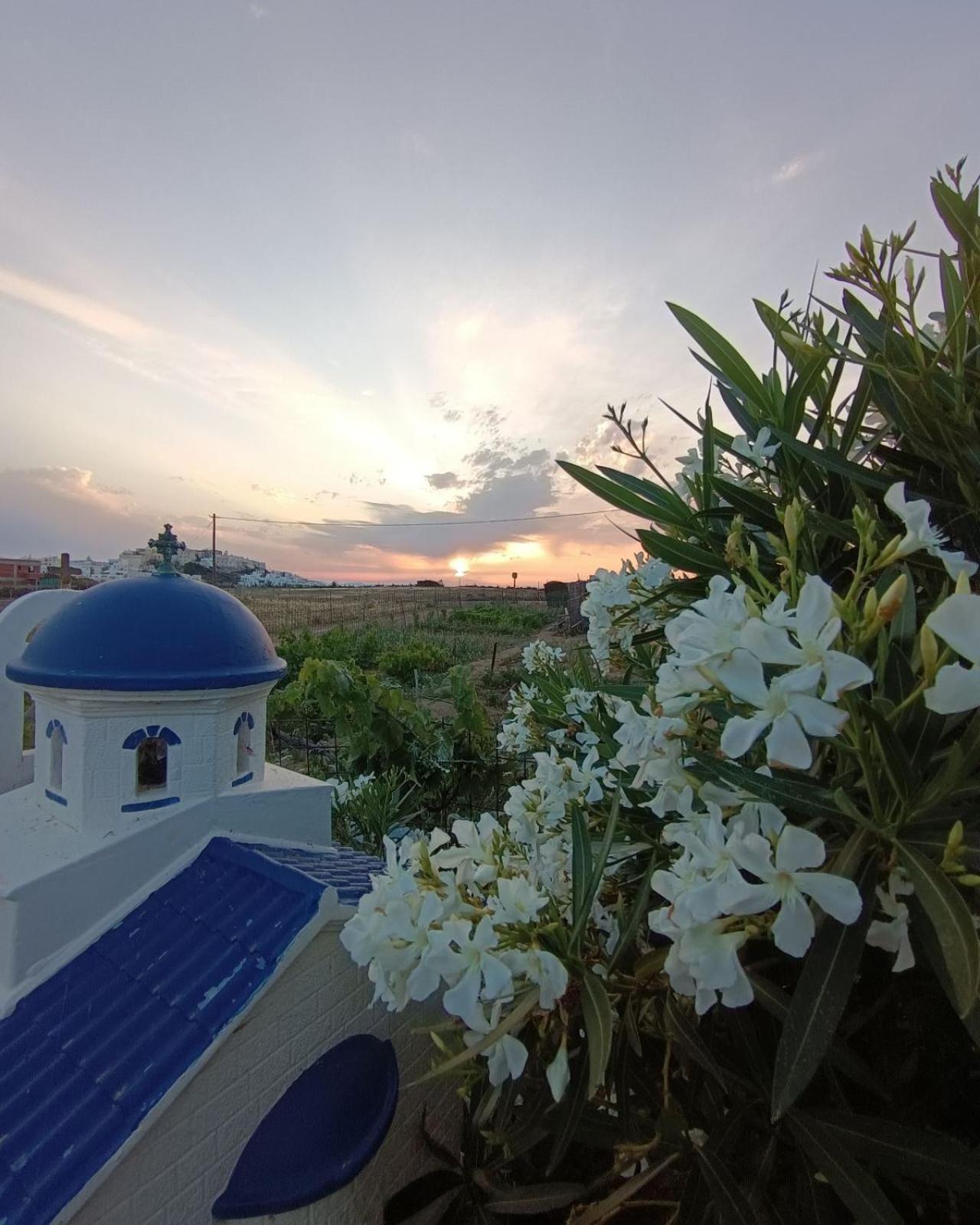 Вилла Ktima Dimitrios Naxos City Экстерьер фото