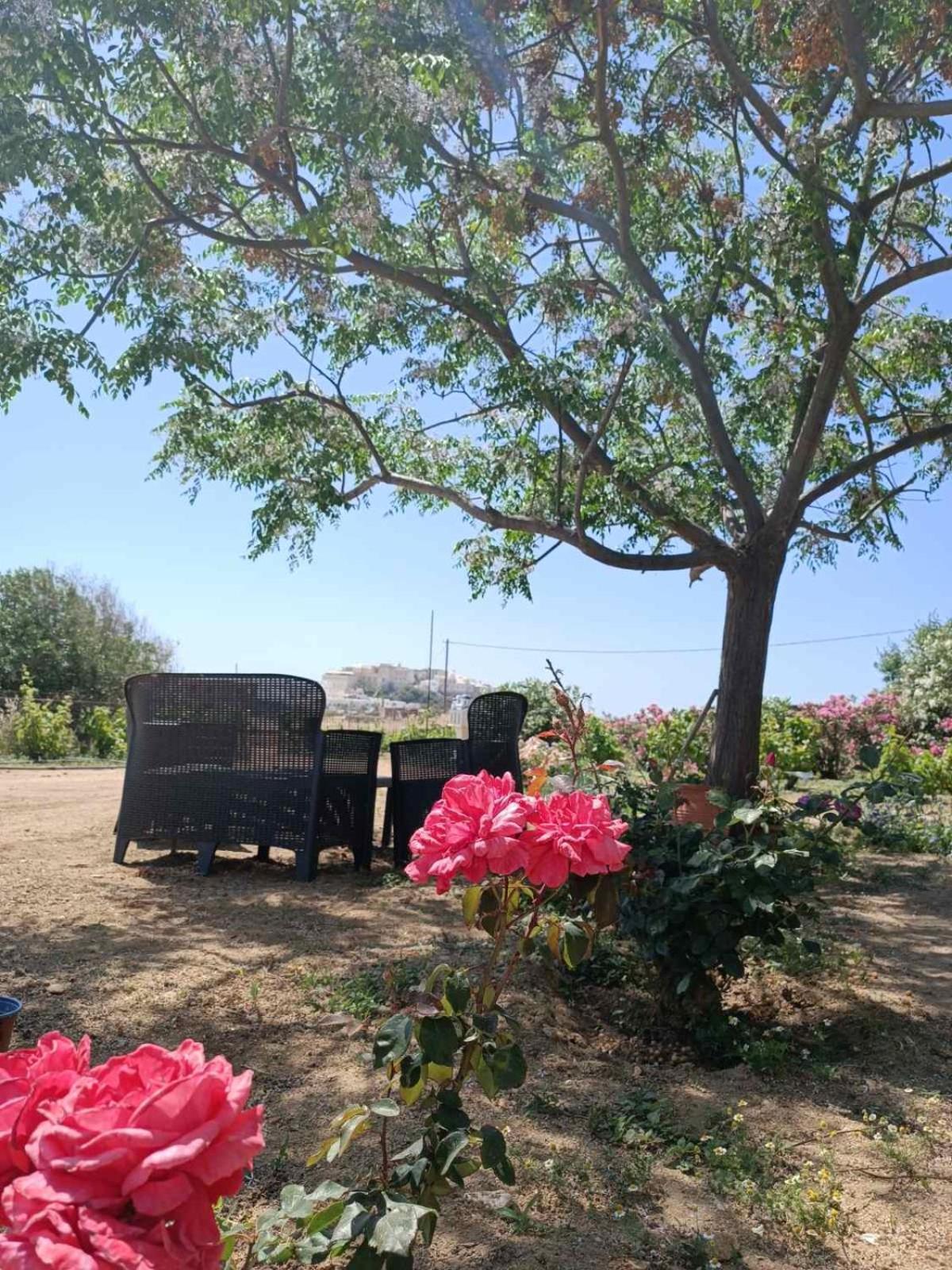Вилла Ktima Dimitrios Naxos City Экстерьер фото